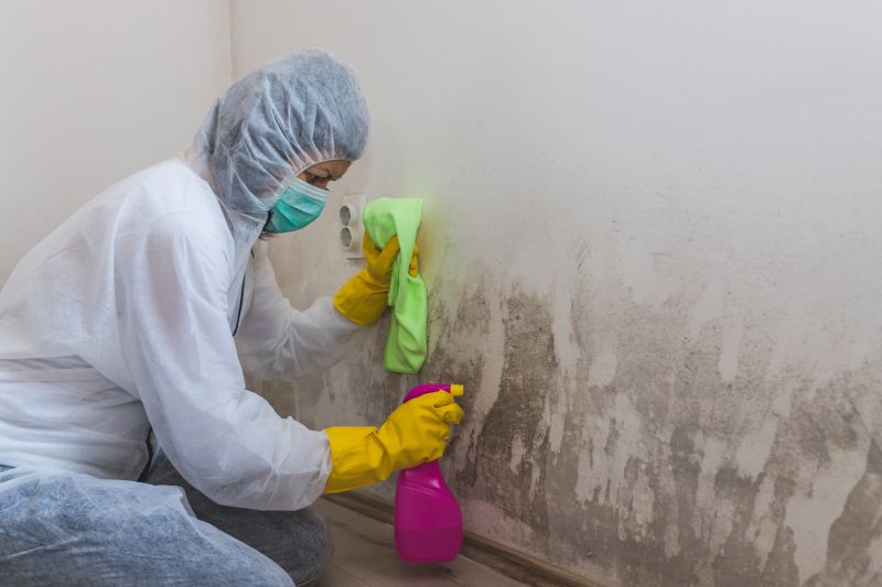 Air Duct Mold Removal in Frisco, TX