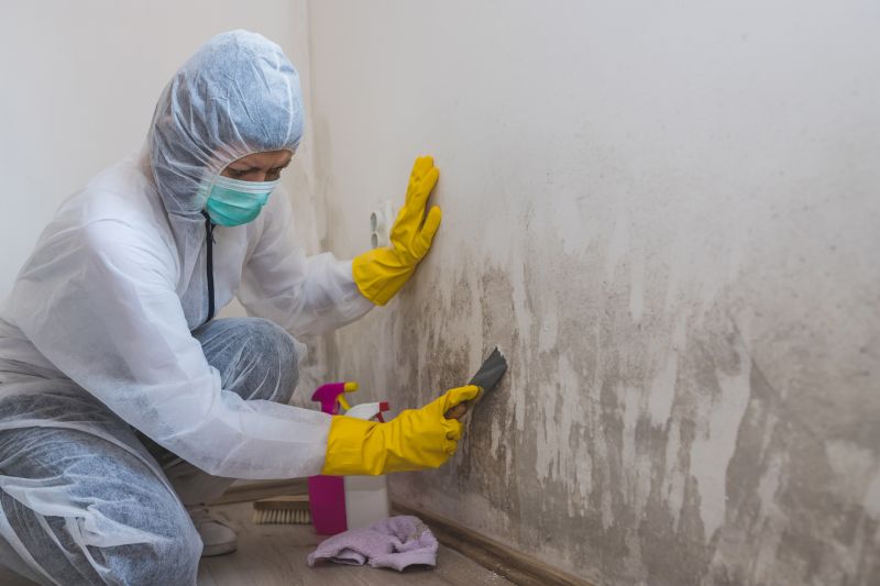Air Duct Mold Removal in Essex County, NJ