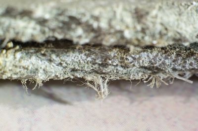 Asbestos Service in Bergen County, NJ