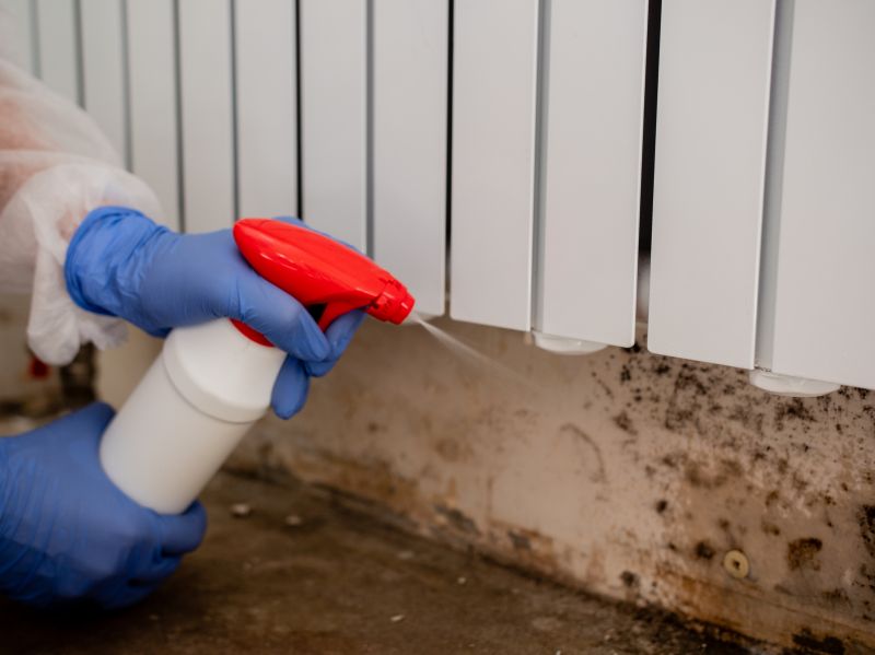 Attic Mold Remediation in Frisco, TX