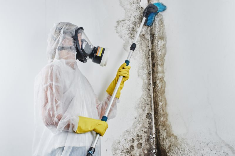 Attic Mold Removal in Dallas, TX