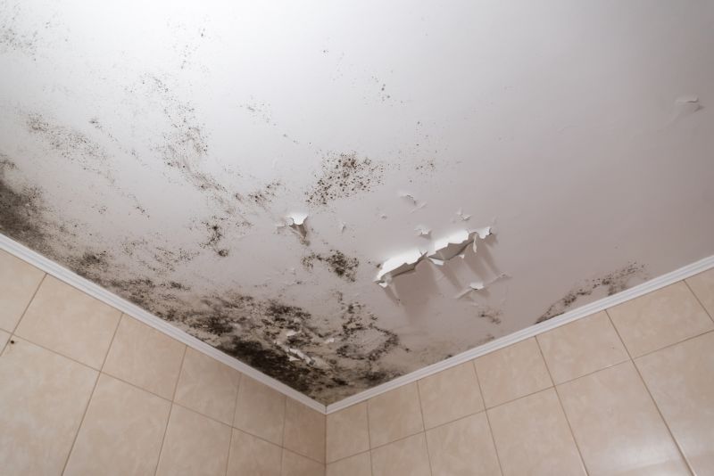 Attic Mold Removal in Bergen County, NJ