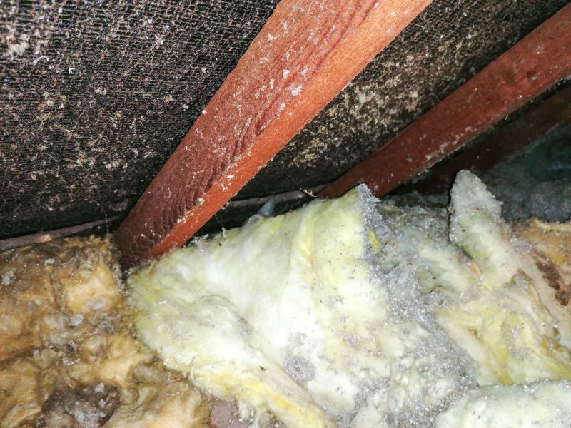 Basement Asbestos Elimination