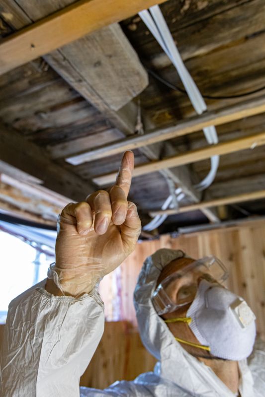 Asbestos Inspection