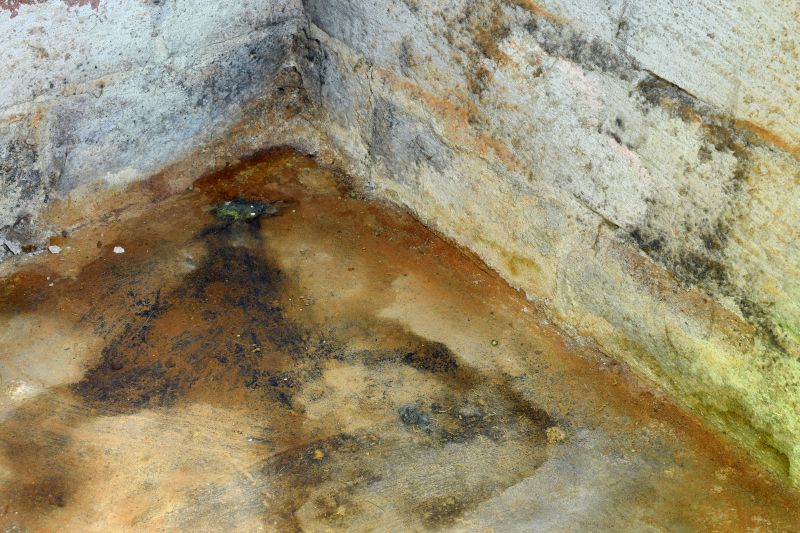 Basement Mold Removal in West Palm Beach, FL