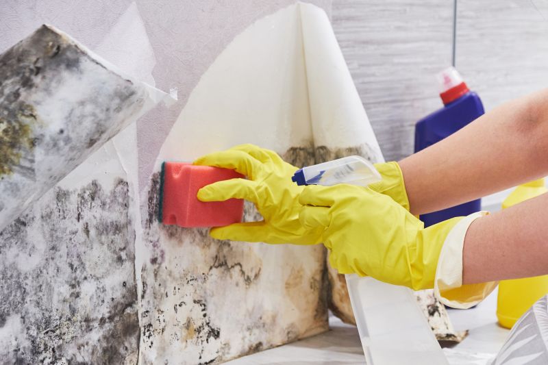Basement Mold Removal in Bergen County, NJ