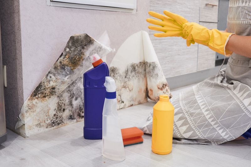 Black Mold Remediation in Jupiter, FL