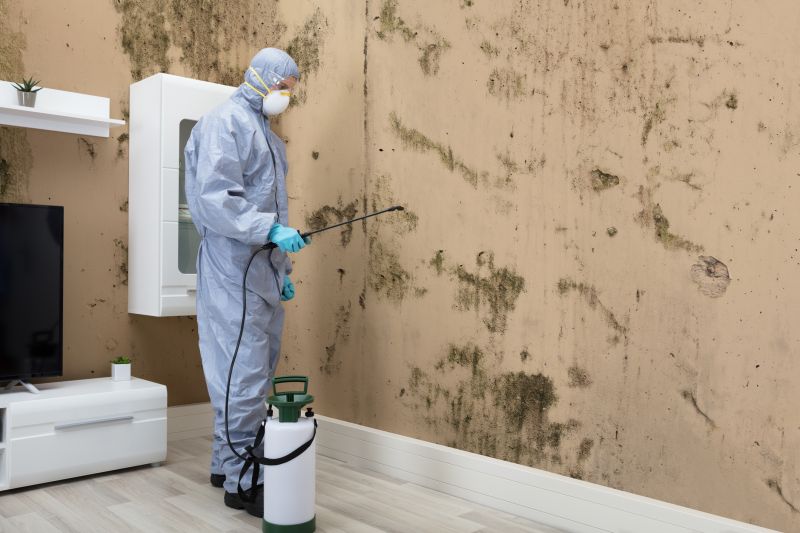 Mold Abatement in Pompano Beach, FL