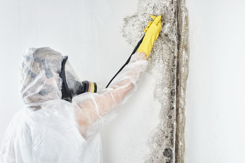 Mold Abatement in Arlington, TX