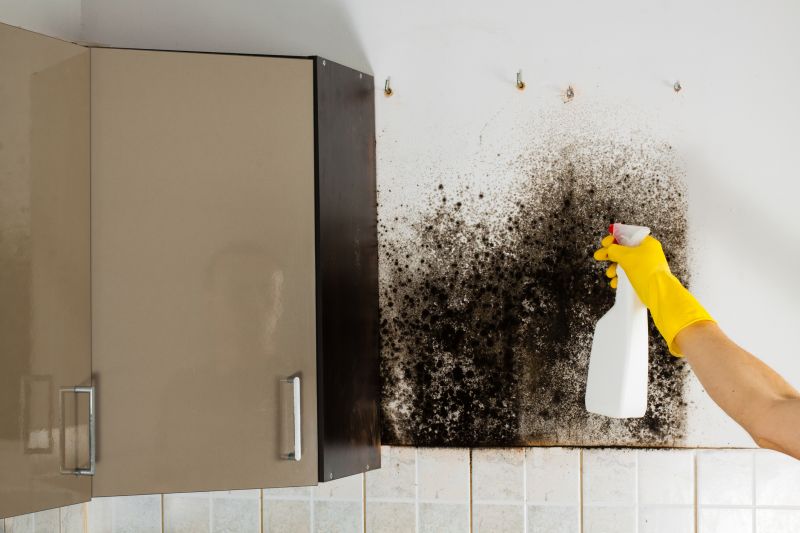 Mold Cleanup Service in Frisco, TX