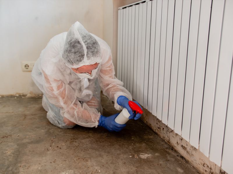 Mold Cleanup Service in Boca Raton, FL