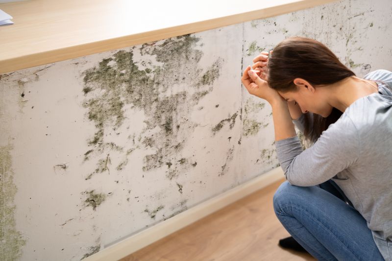 Mold Control in Denton, TX