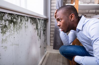 Mold Detection in Fort Lauderdale, FL