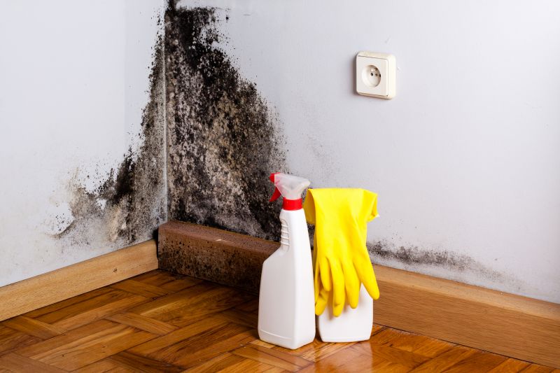 Mold Mitigation Service in West Palm Beach, FL