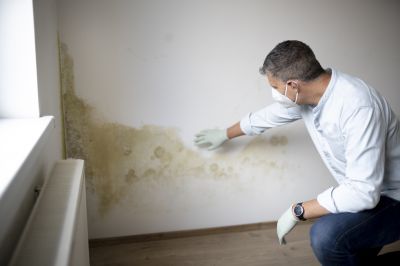 Mold Mitigation Service in Frisco, TX