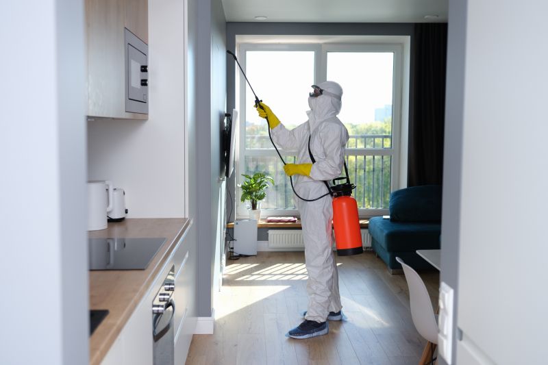 Mold Removal in Boca Raton, FL