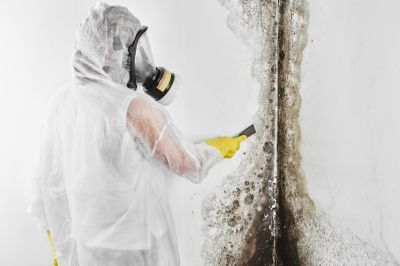 Mold Removal in Bergen County, NJ