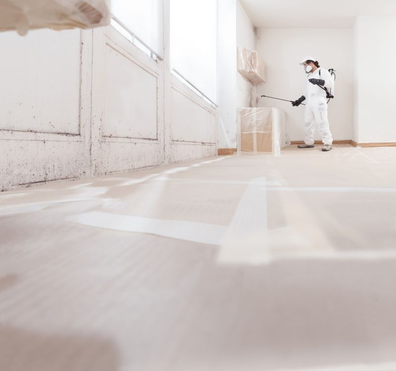 Mold Treatment Service in Jupiter, FL