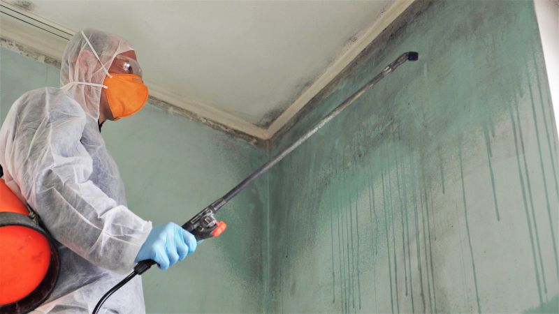 Mold Treatment Service in Frisco, TX