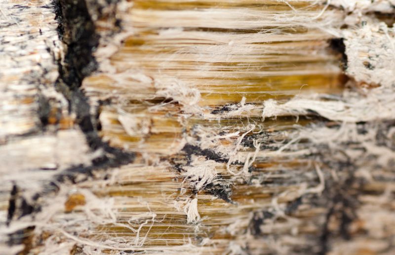 Vermiculite Removal Service in Bergen County, NJ