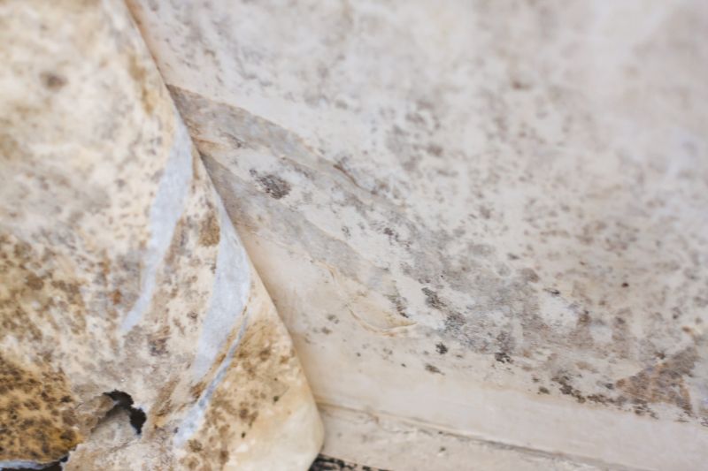 White Mold Mitigation in Jupiter, FL