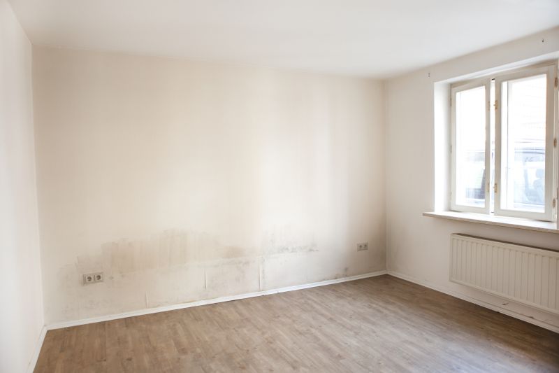 White Mold Mitigation in Frisco, TX