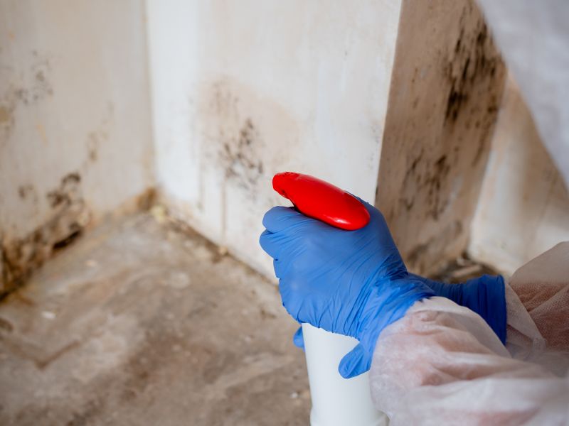 Attic Mold Remediation in Dallas, TX