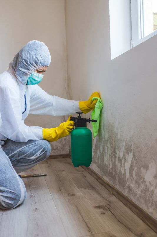 Mold Abatement Service in Broward County, FL