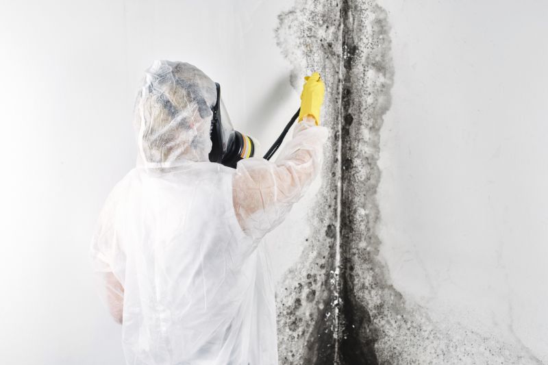 Mold Removal in Frisco, TX