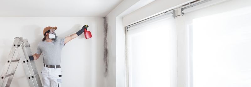 Mold Treatment Service in Frisco, TX