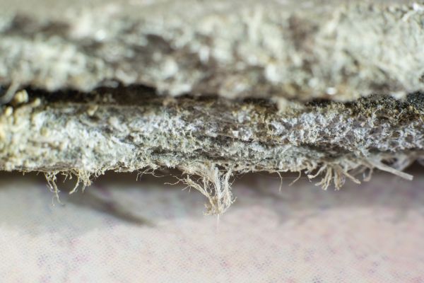 Asbestos Abatement